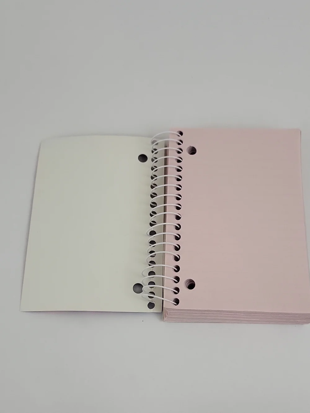 Vtg Lisa Frank Big Little Notebook Spiral